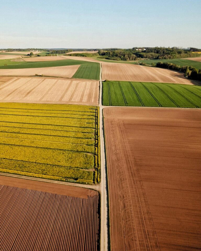 Your Ultimate Guide to Selling North Carolina Farmland